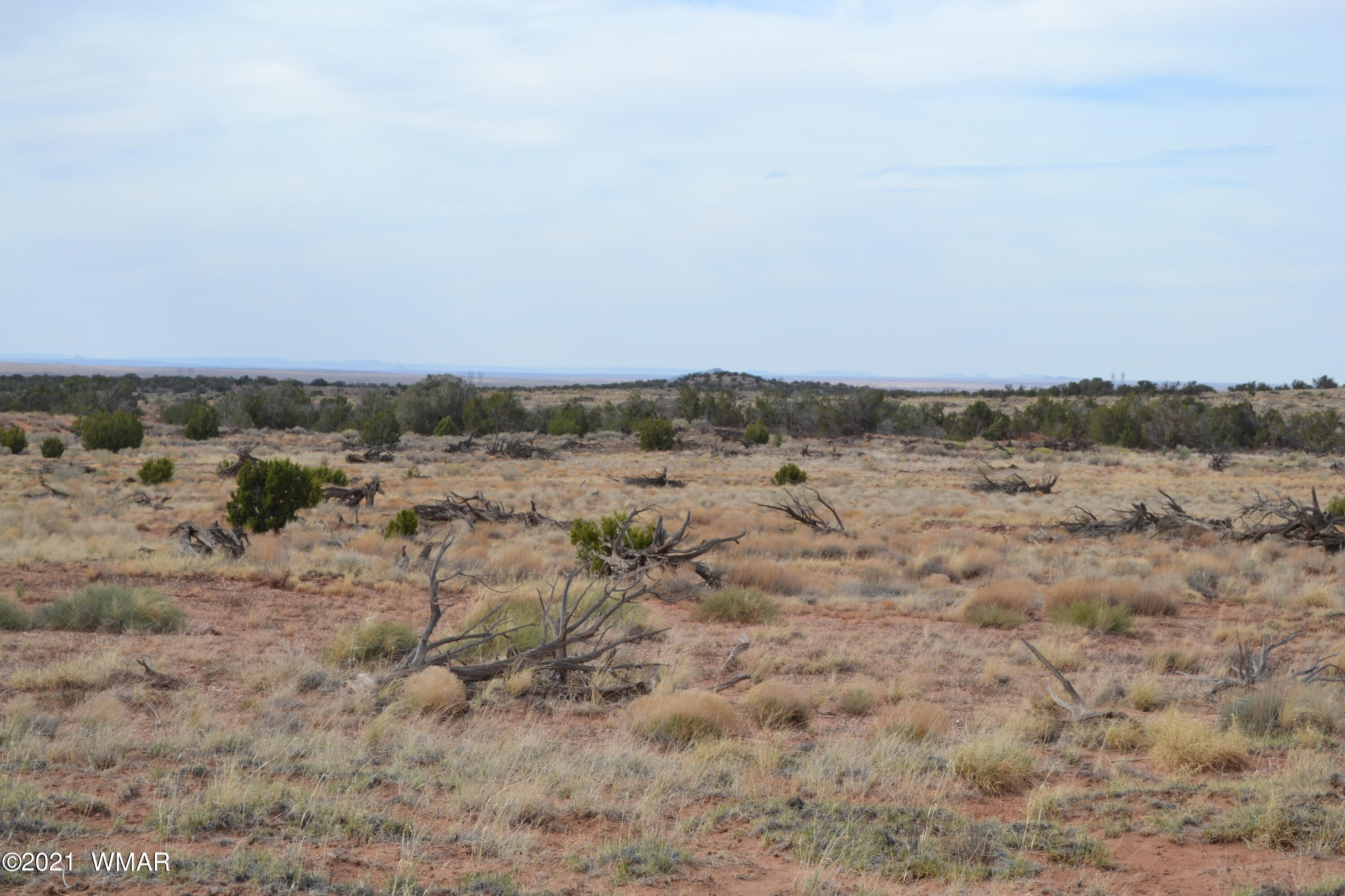 8190 Rockin R Ranch Trail Snowflake, AZ 85937 - Photo 5 of 10 Gallery Image 5