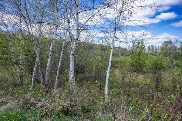 $325,000 | 70-acres 22nd, Necedah, WI 54646