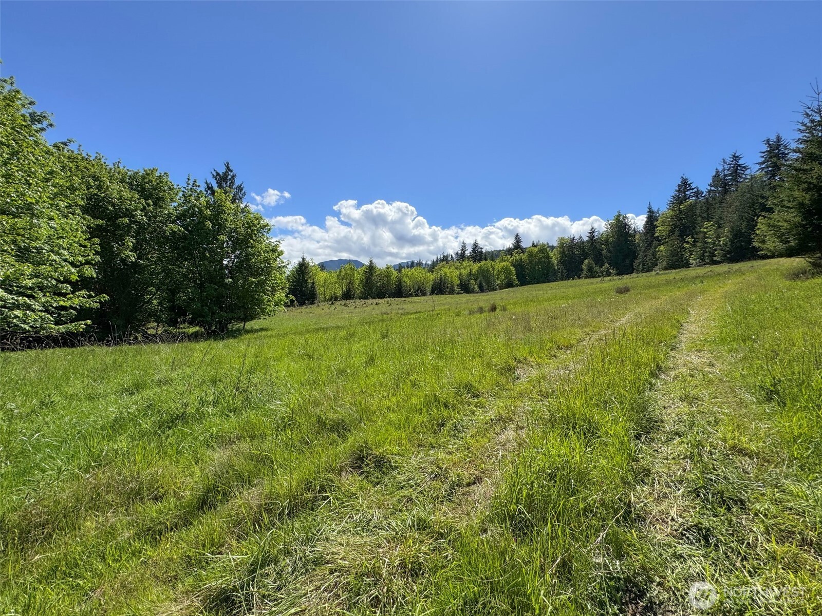 9999 Kruse Road Port Angeles, WA 98362 - Photo 12 of 39
