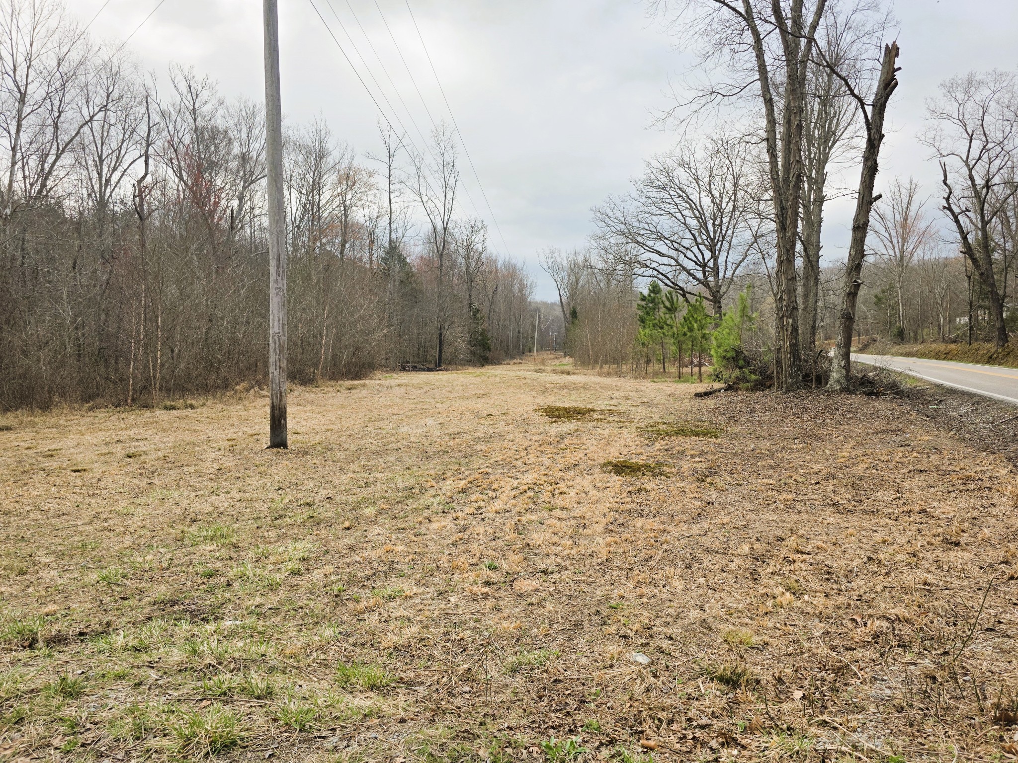 0 Birdsong Road Holladay, TN 38341 - Photo 68 of 70