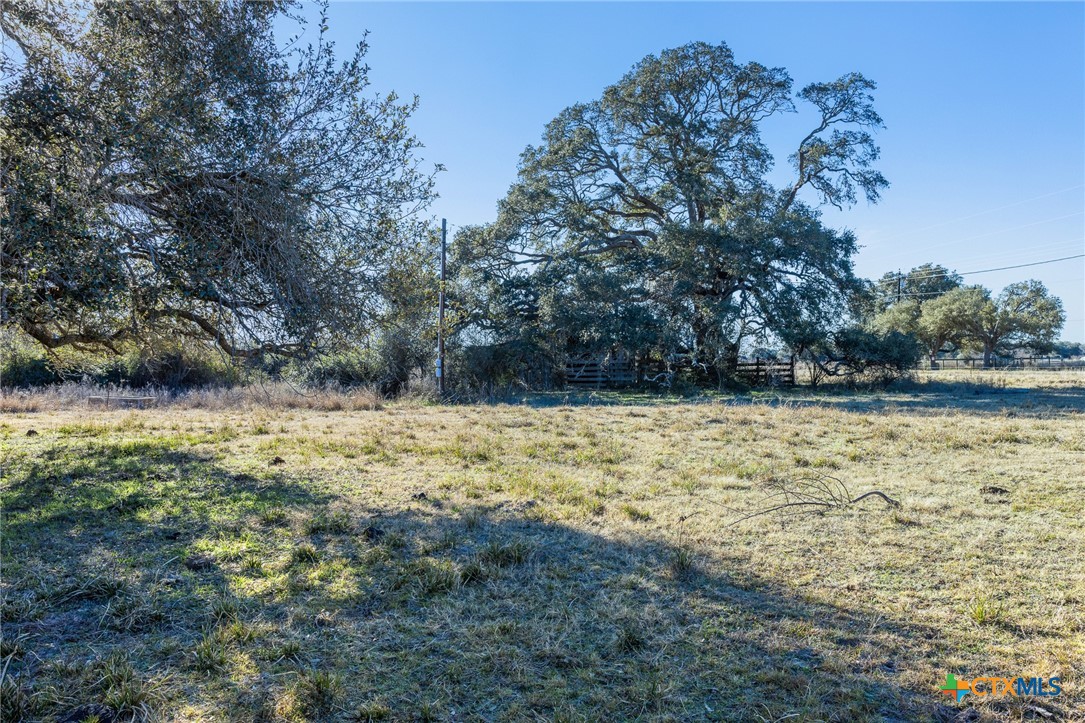 0 Sophie Ranch Road Inez, TX 77968 - Photo 6 of 17 a view of yard