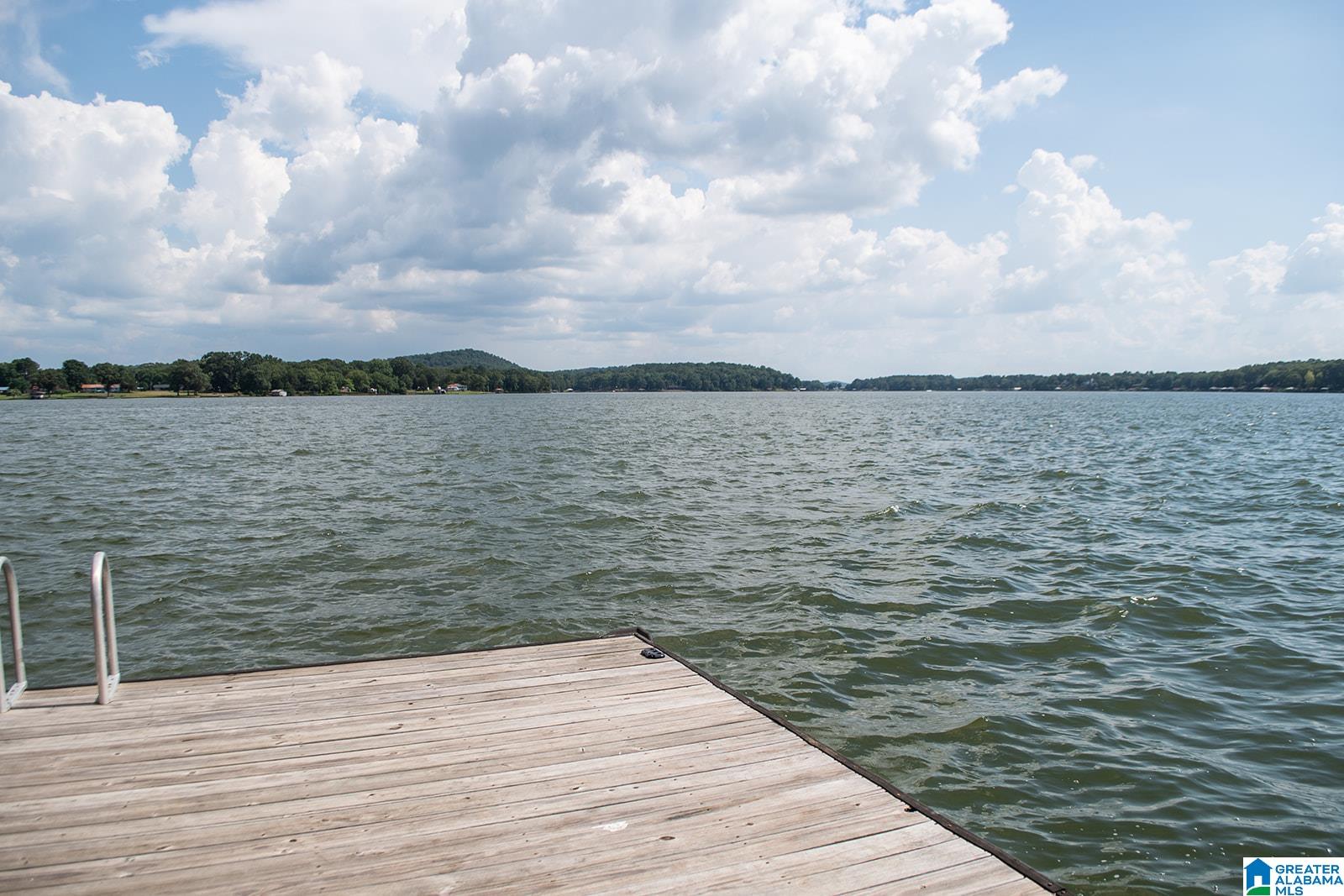 222 Viewpoint Circle Pell City, AL 35128 - Photo 42 of 50