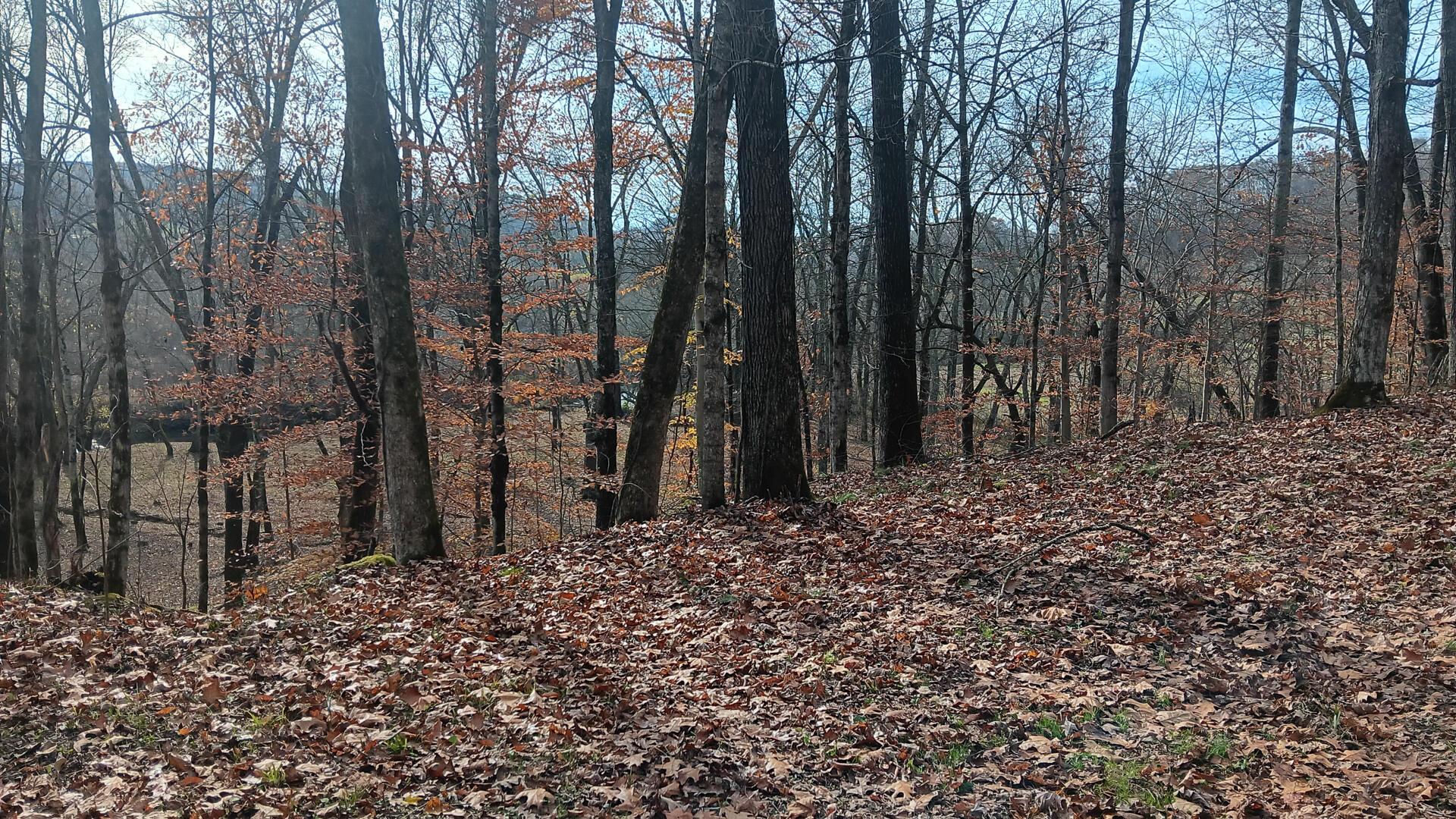 0 Keystone Road, Unit CREEKVIEW CABIN) Vinton, OH 45686 - Photo 53 of 95 CT-53