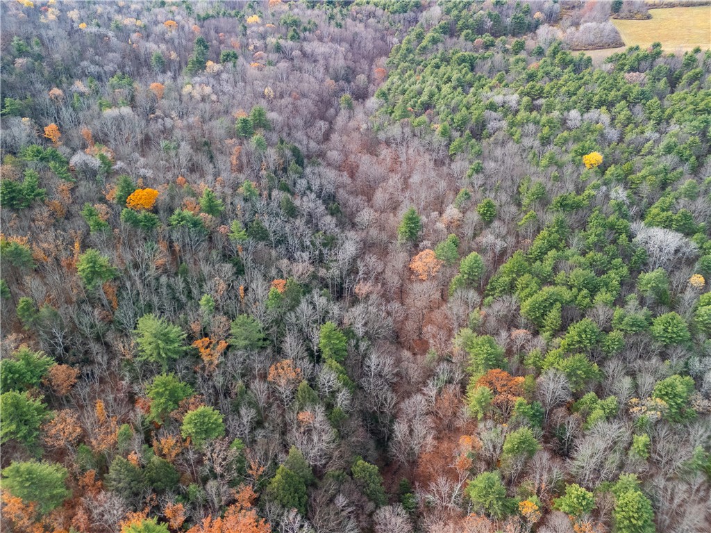 3444 County Route 2 Addison, NY 14801 - Photo 25 of 25