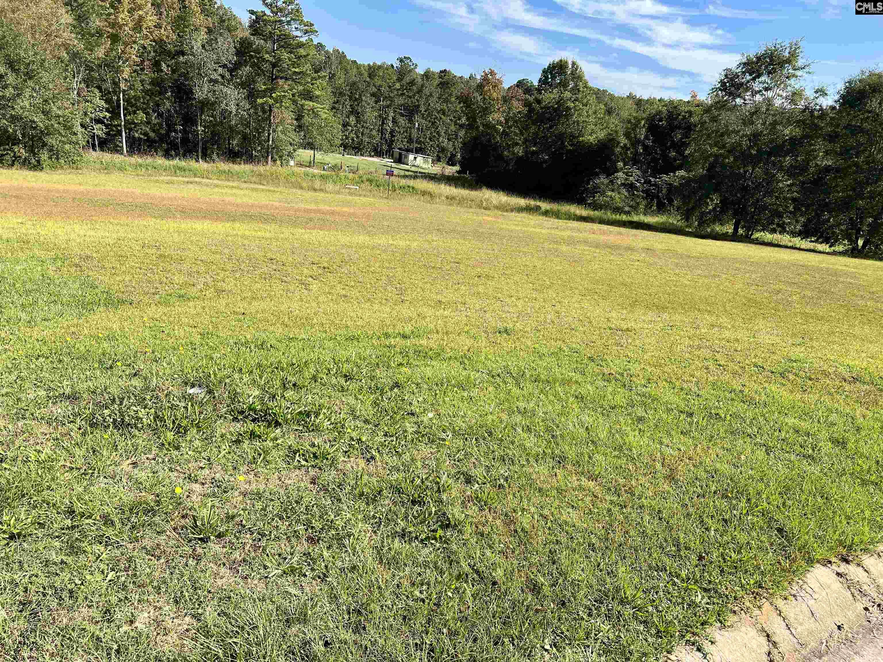 127 Deer Ridge Trail Gilbert, SC 29054 - Photo 11 of 13