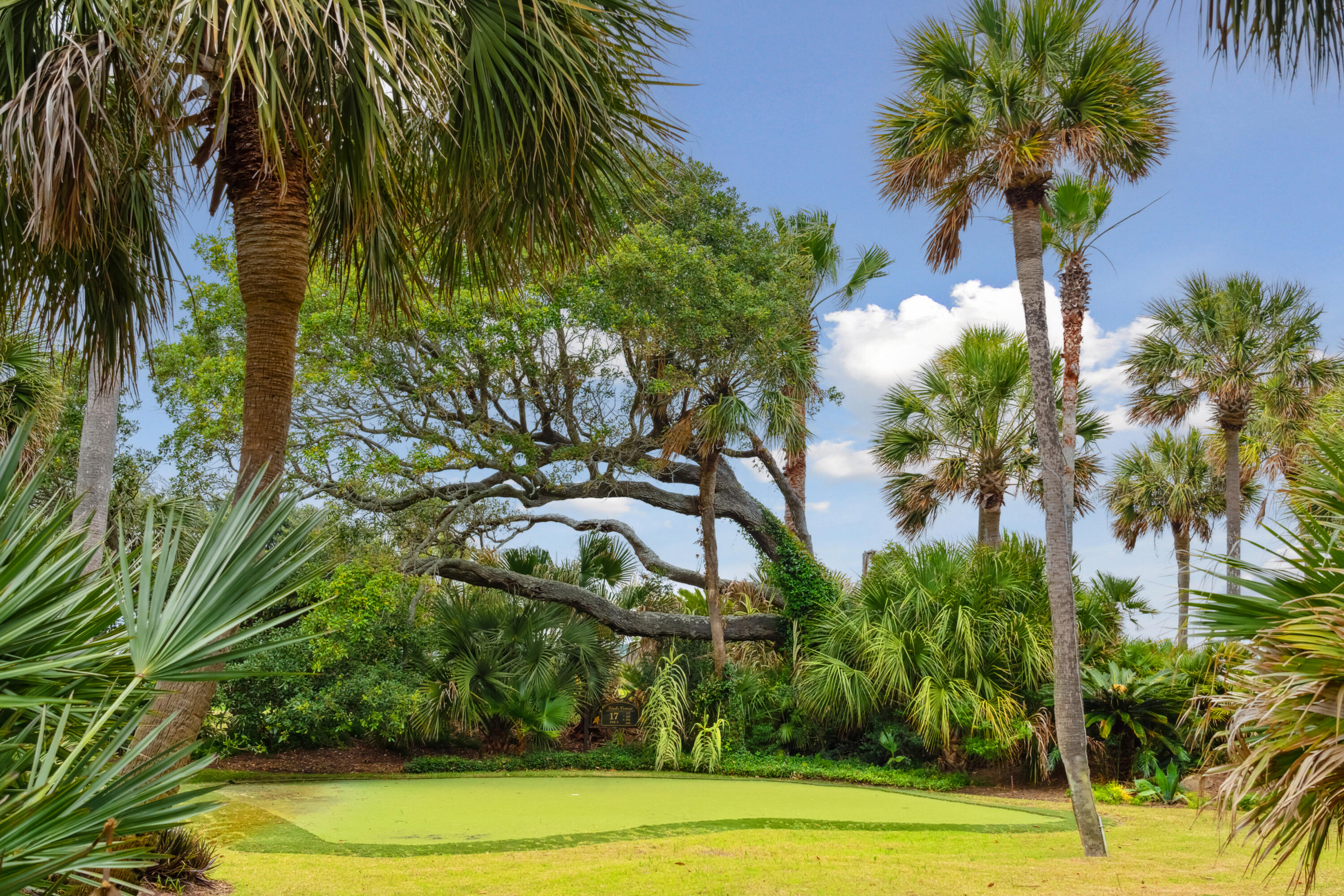 61 Ocean Point Drive Isle of Palms, SC 29451 - Photo 19 of 79 61OceanPointDr-KeenEyeMarketing-100