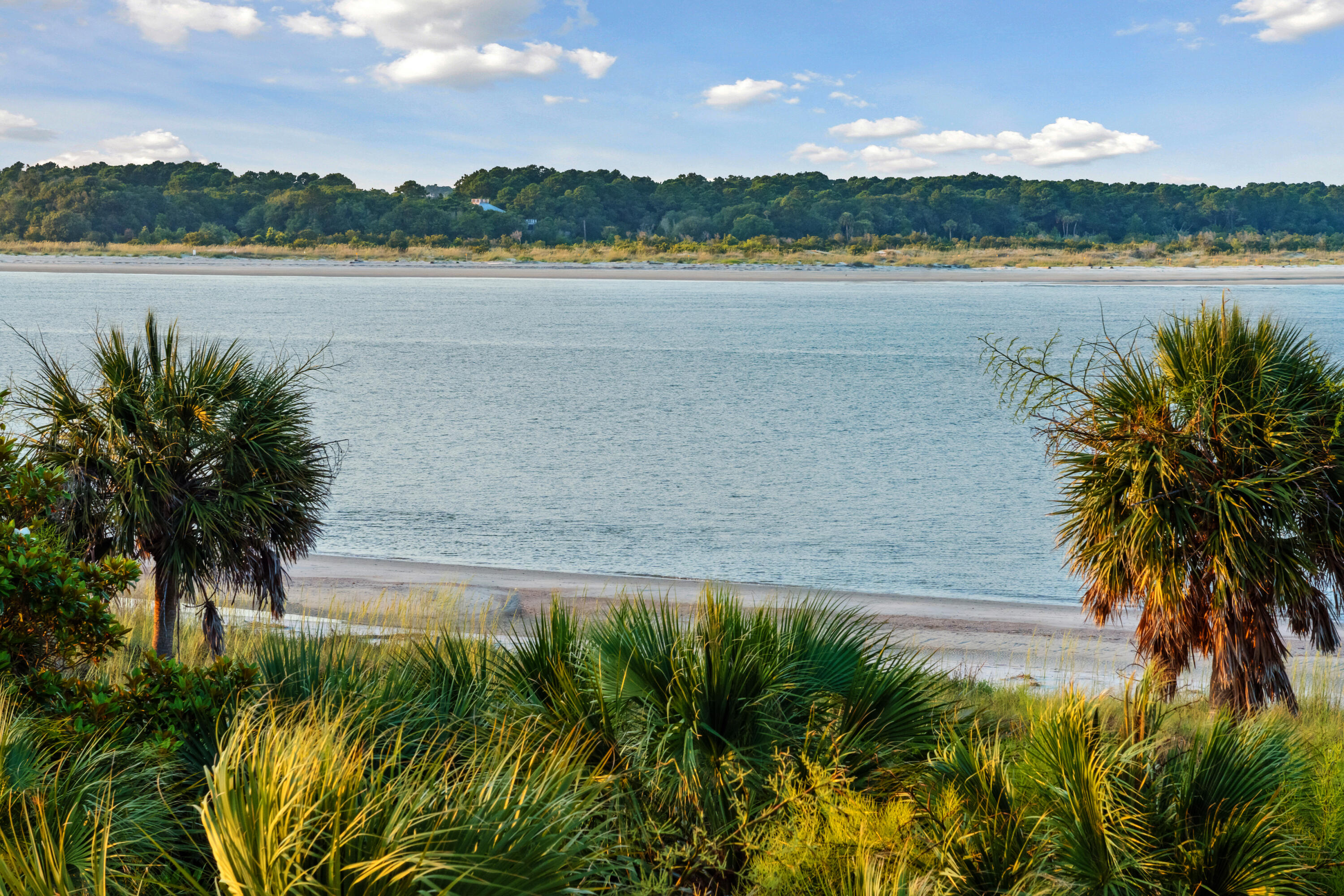 61 Ocean Point Drive Isle of Palms, SC 29451 - Photo 39 of 79 61OceanPointDr-15