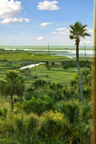 $7,995,000 | 61 Ocean Point Drive, Isle of Palms, SC 29451