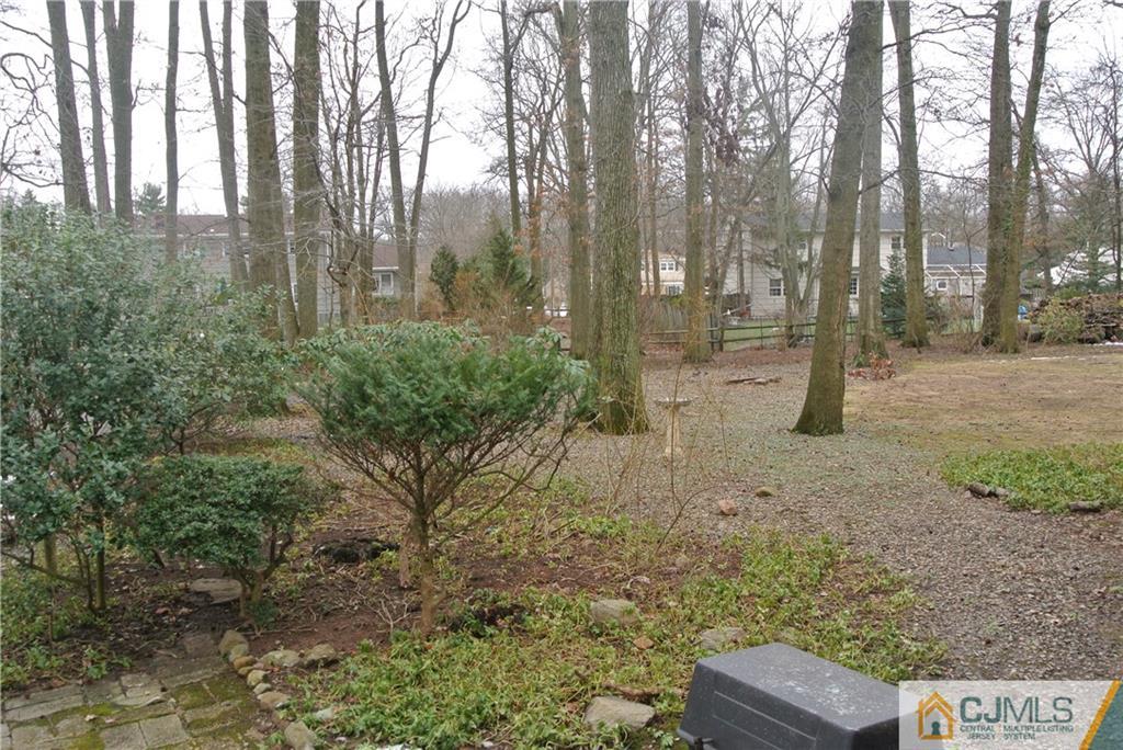 17 Woodruff Road Edison, NJ 08820 - Photo 22 of 25 a view of backyard with green space