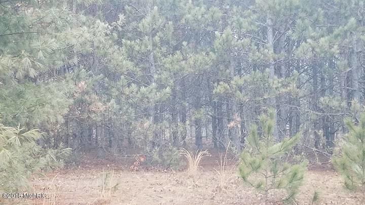 0 Monroe Road White Cloud, MI 49349 - Photo 6 of 11