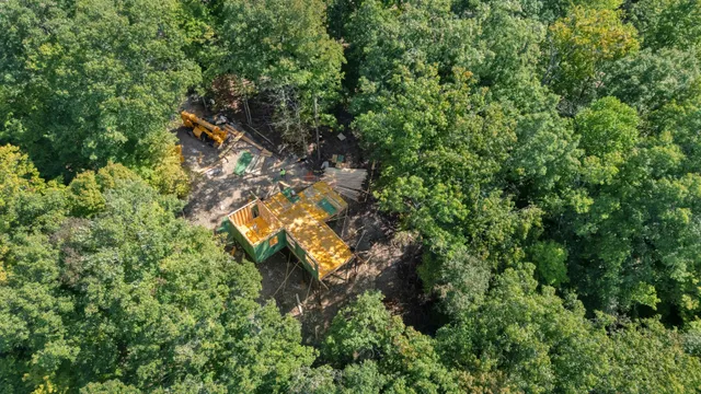 a view of a lush green forest