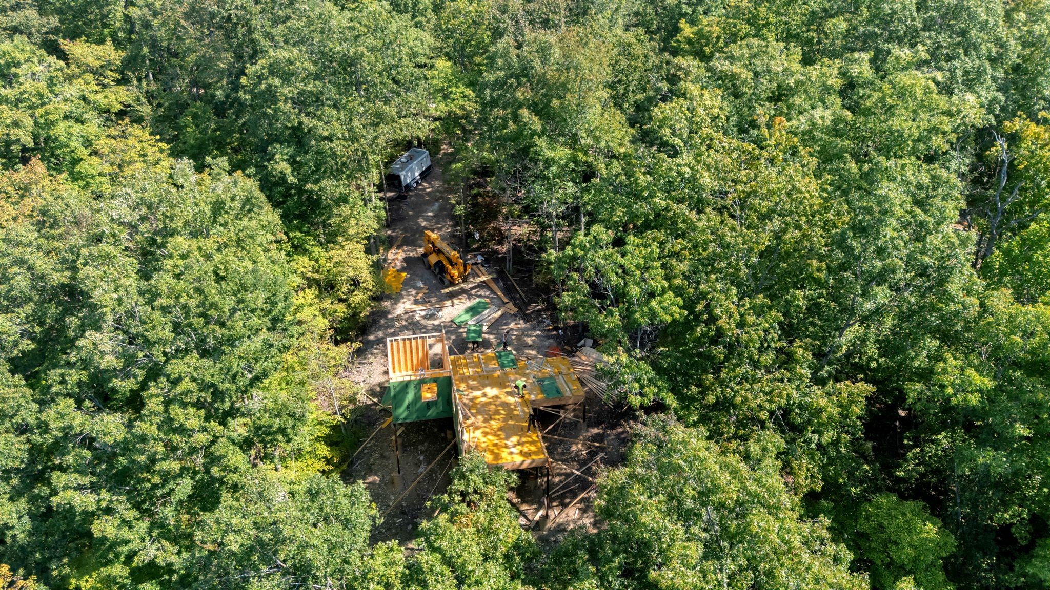 0 Wet Mill Creek Road Celina, TN 38551 - Photo 26 of 42 a view of a tree