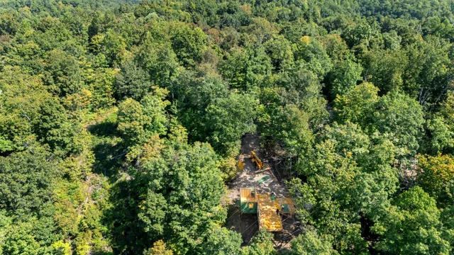 a view of a lush green forest