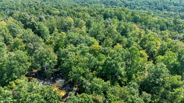 a view of a backyard with a tree