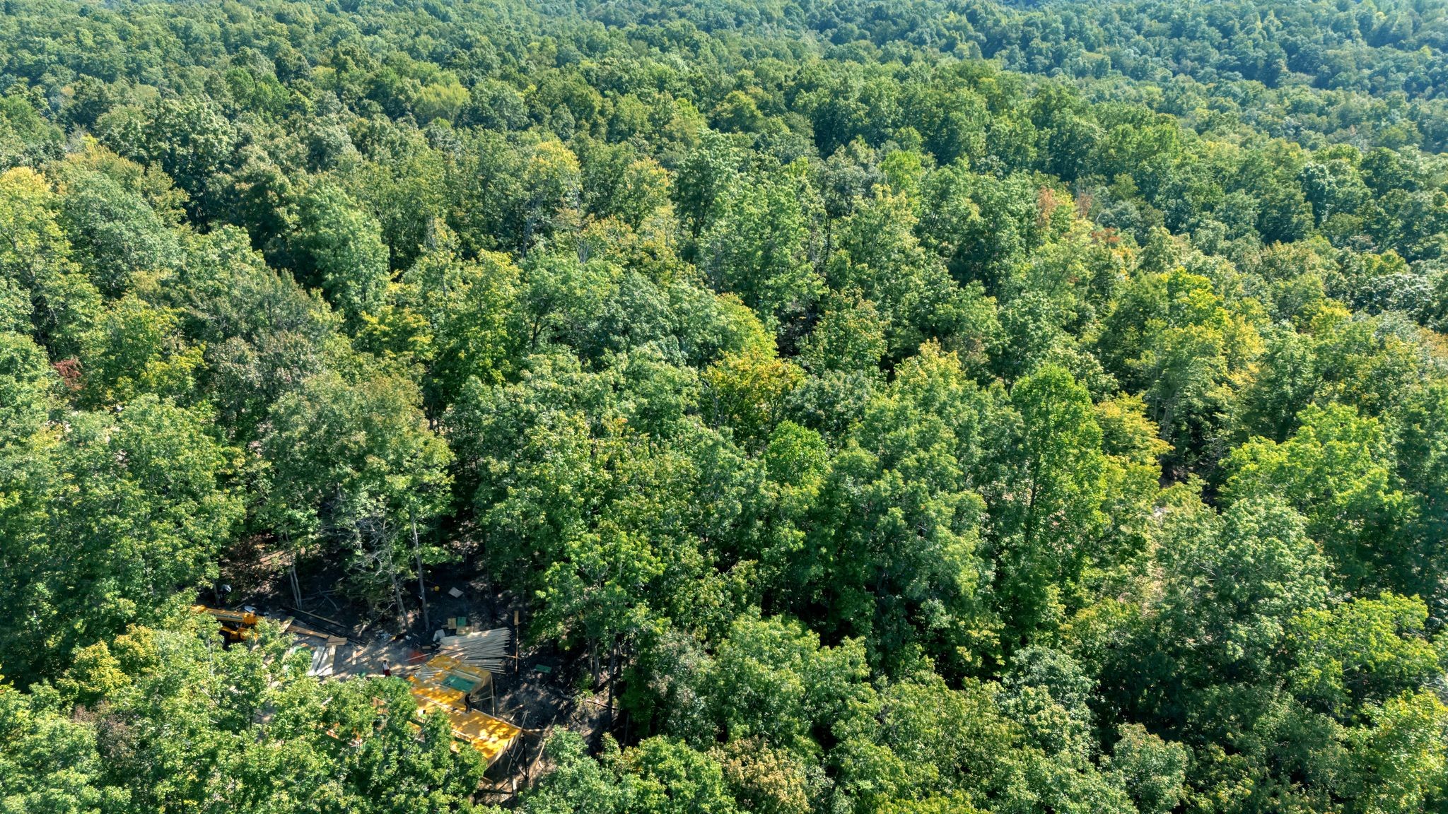 0 Wet Mill Creek Road Celina, TN 38551 - Photo 29 of 42 a view of a lush green forest