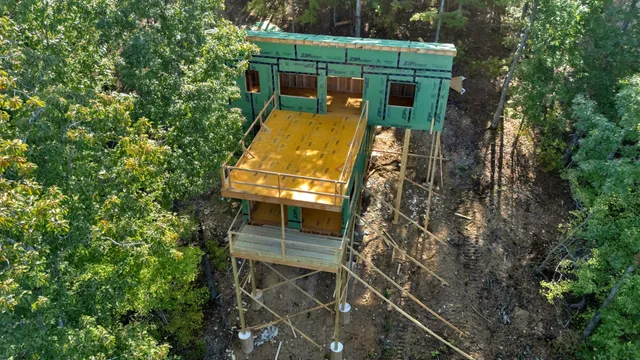 a view of a backyard with plants