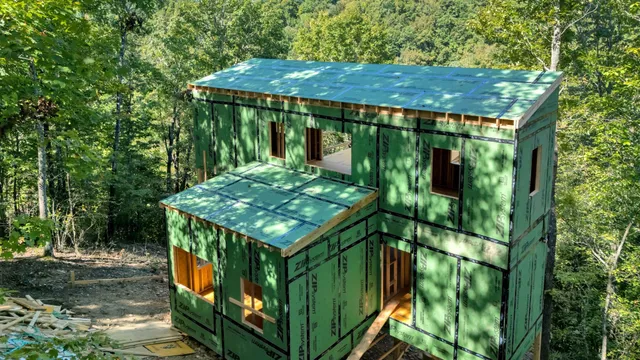 a view of a forest with a street
