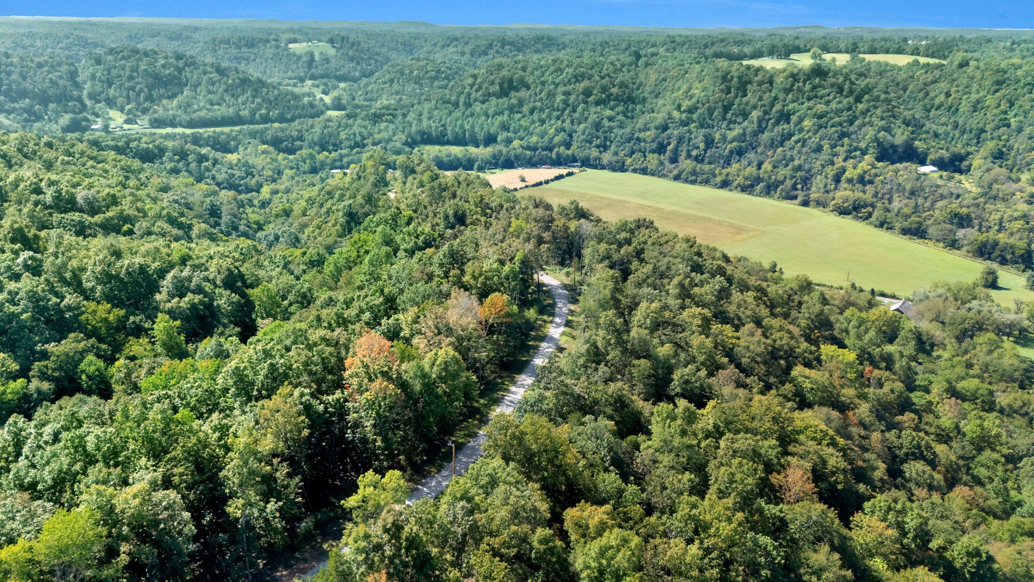 0 Wet Mill Creek Road Celina, TN 38551 - Photo 35 of 42 a view of a forest with a street