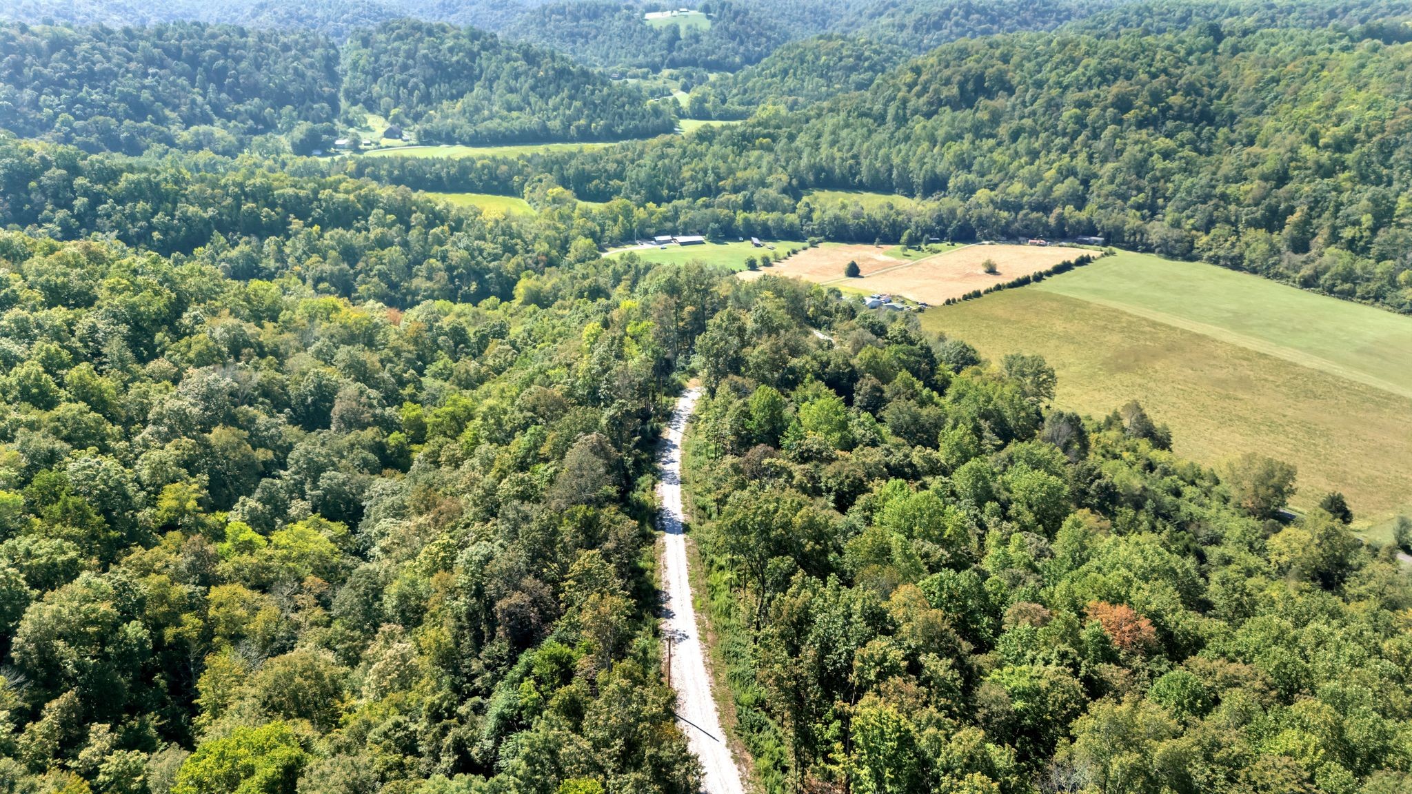 0 Wet Mill Creek Road Celina, TN 38551 - Photo 36 of 42 a view of a yard with a tree