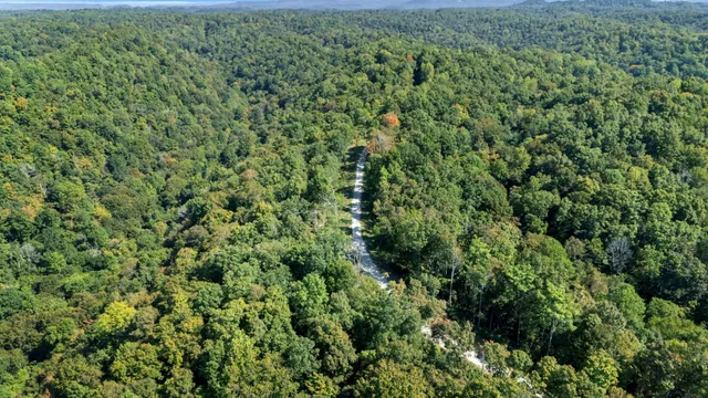 a view of a green field with lots of bushes