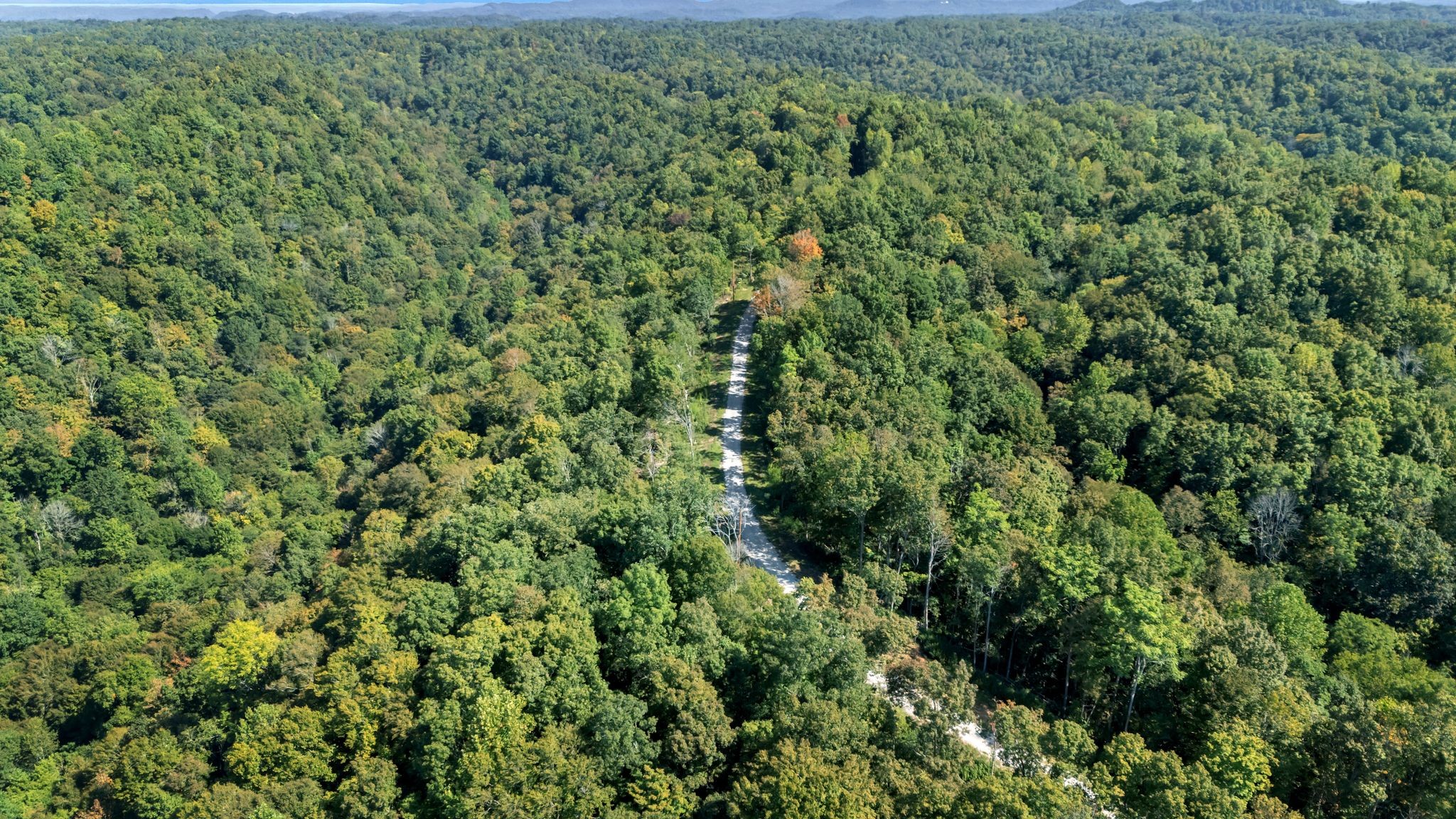 0 Wet Mill Creek Road Celina, TN 38551 - Photo 39 of 42 unknown