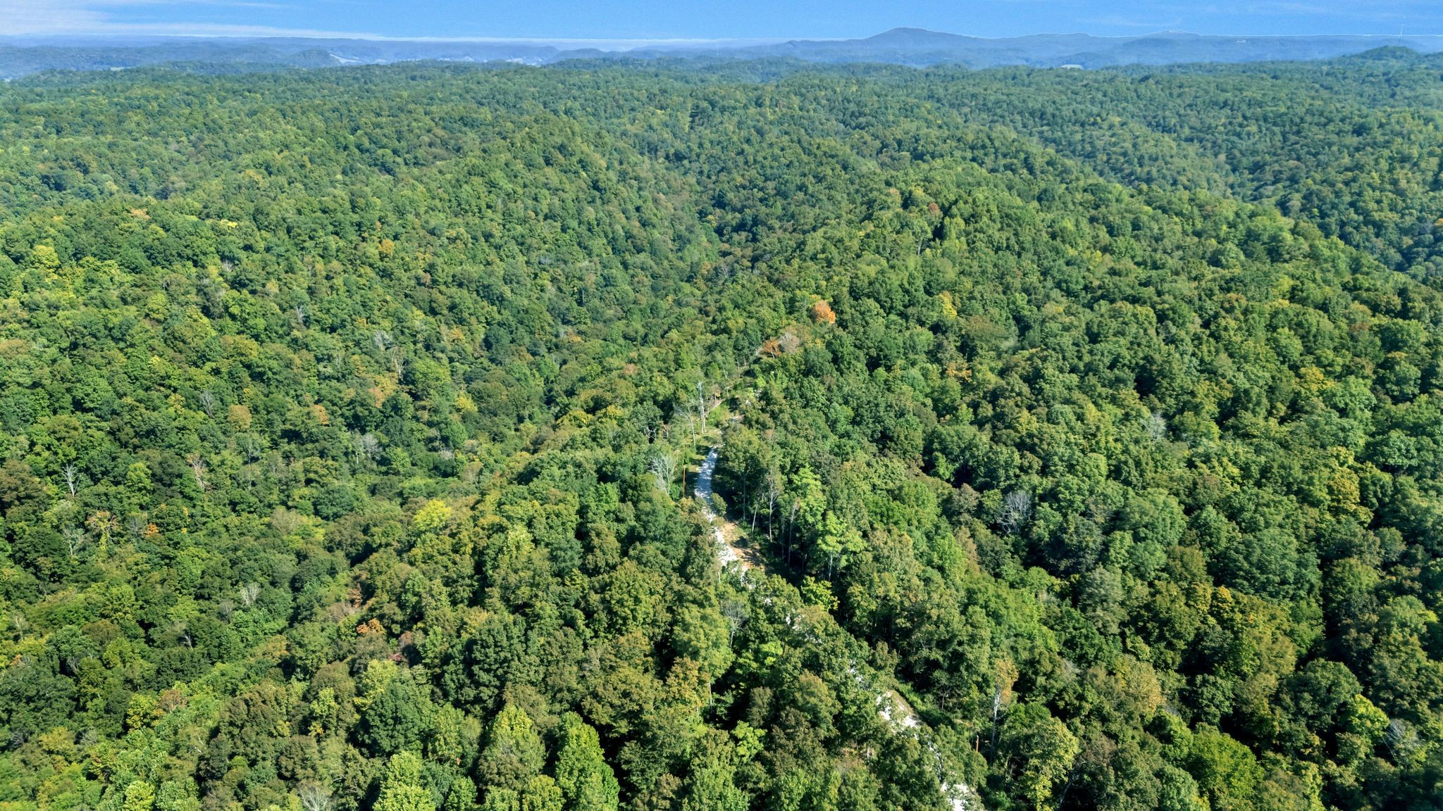 0 Wet Mill Creek Road Celina, TN 38551 - Photo 40 of 42 a view of a green field with lots of bushes