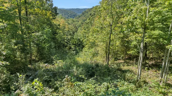 a view of a large yard with lots of green space