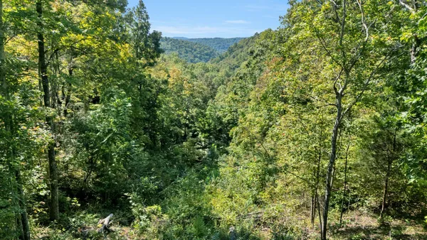 $239,900 | 0 Wet Mill Creek Road, Celina, TN 38551