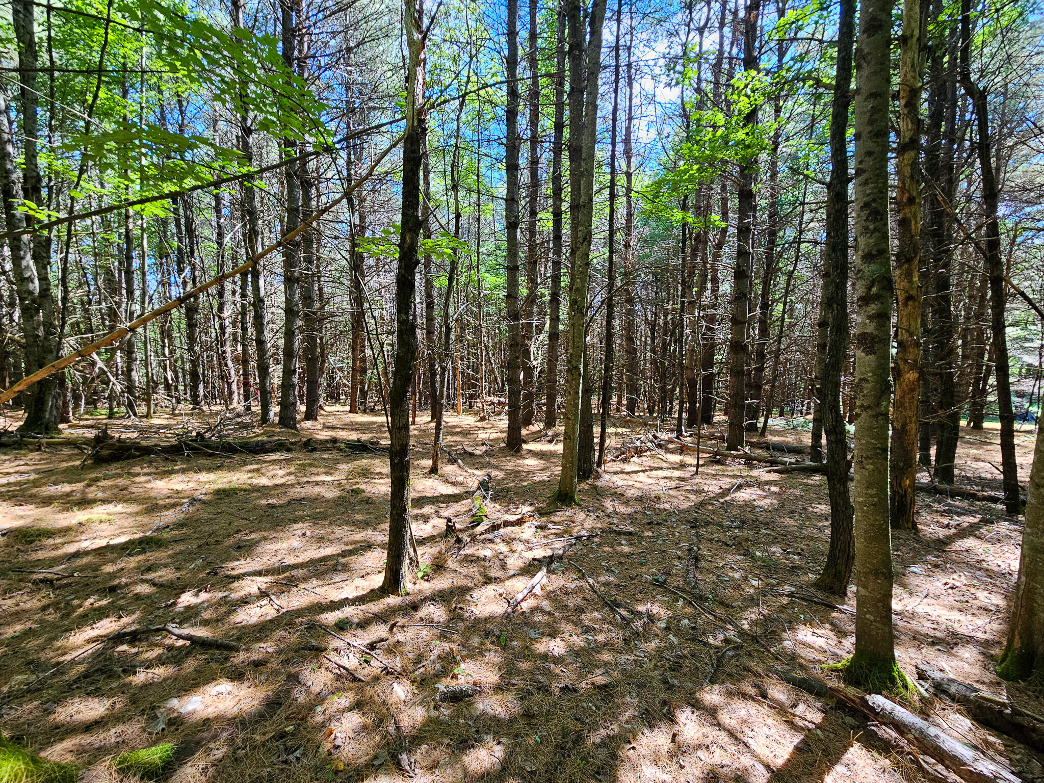 11-31-c Stone Hill Road Farmington, ME 04938 - Photo 14 of 22