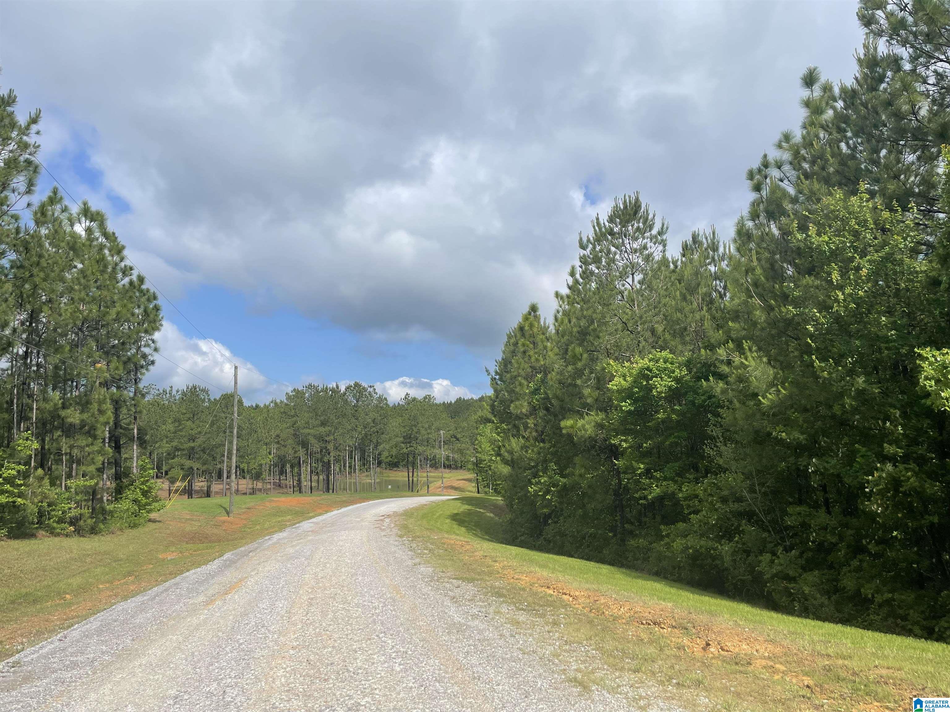 0 Chelsea Farms Road, Unit 24 Chelsea, AL 35043 - Photo 35 of 37