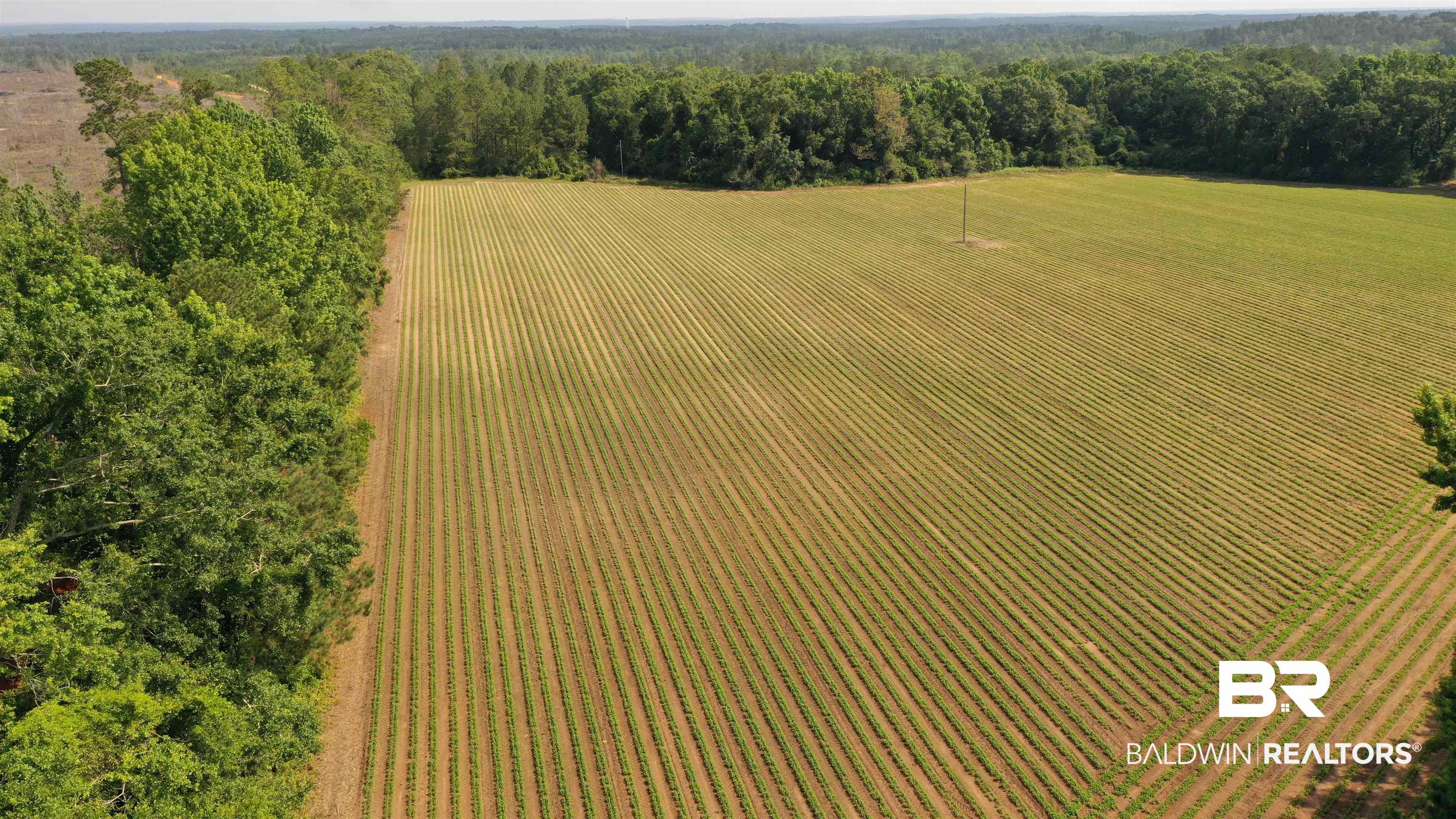 6 Travis Road Brewton, AL 36426 - Photo 15 of 22