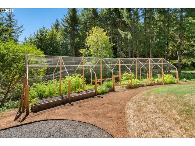 a view of a park with slide