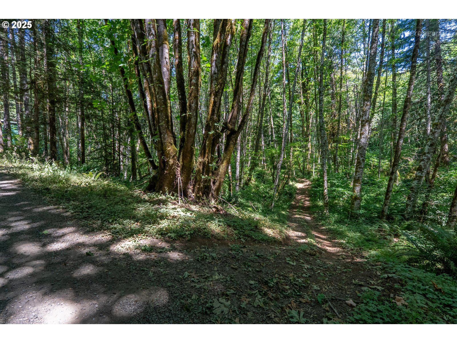 40811 Northwest Linklater Road North Plains, OR 97133 - Photo 41 of 48 a view of outdoor space and green space