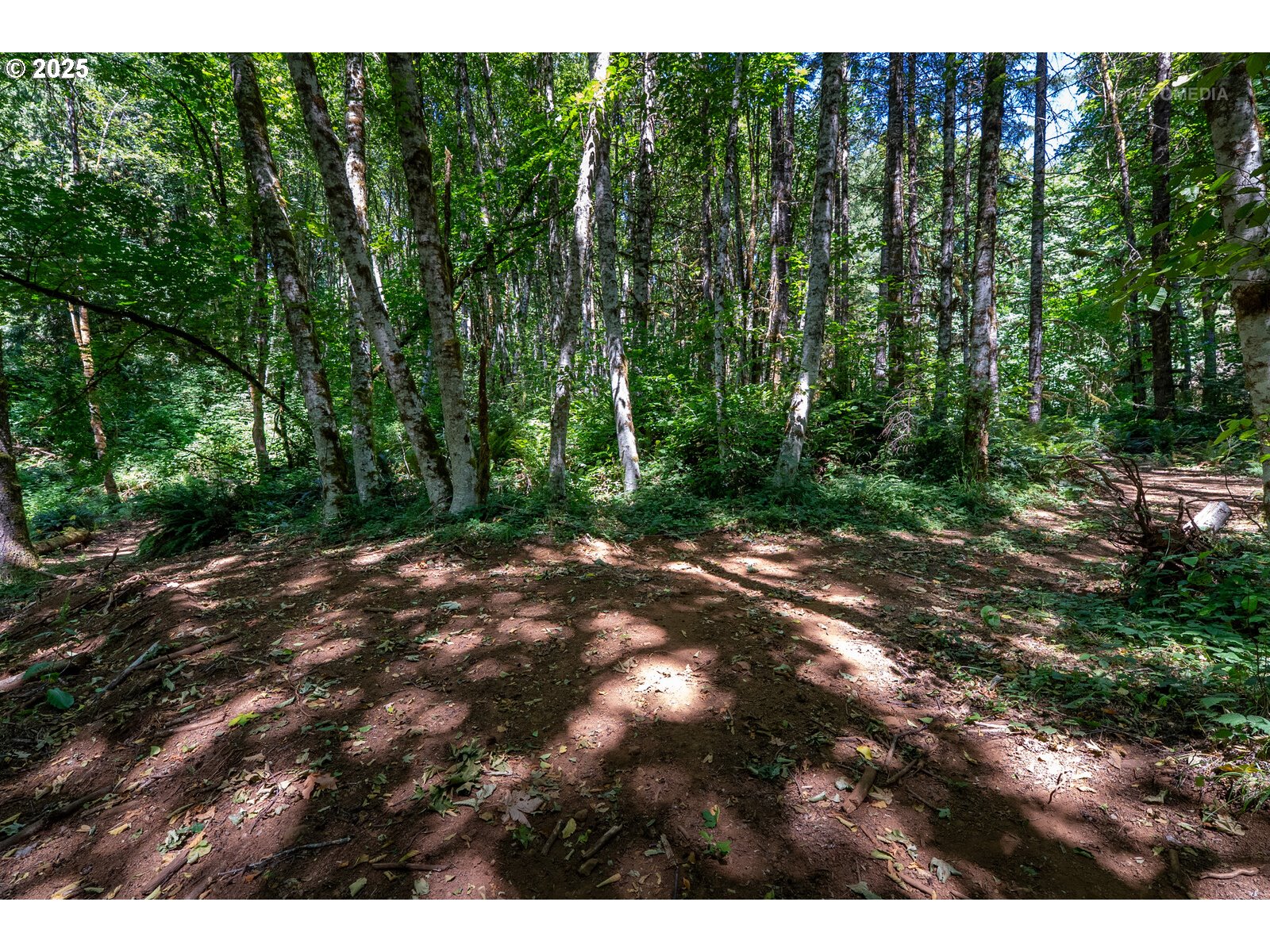 40811 Northwest Linklater Road North Plains, OR 97133 - Photo 42 of 48 a view of outdoor space and yard