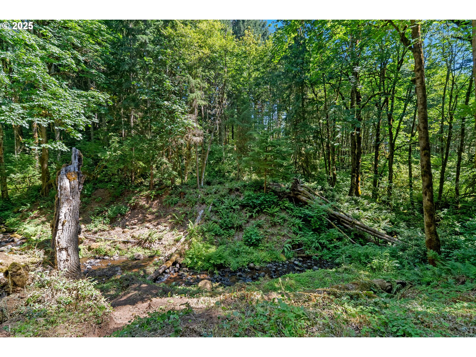 40811 Northwest Linklater Road North Plains, OR 97133 - Photo 44 of 48 a view of a yard with plants and a bench