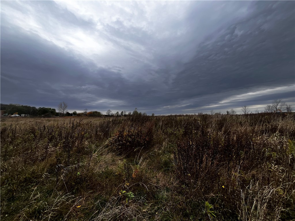 Main Street Honeoye, NY 14471 - Photo 1 of 5 Mostly level lot.