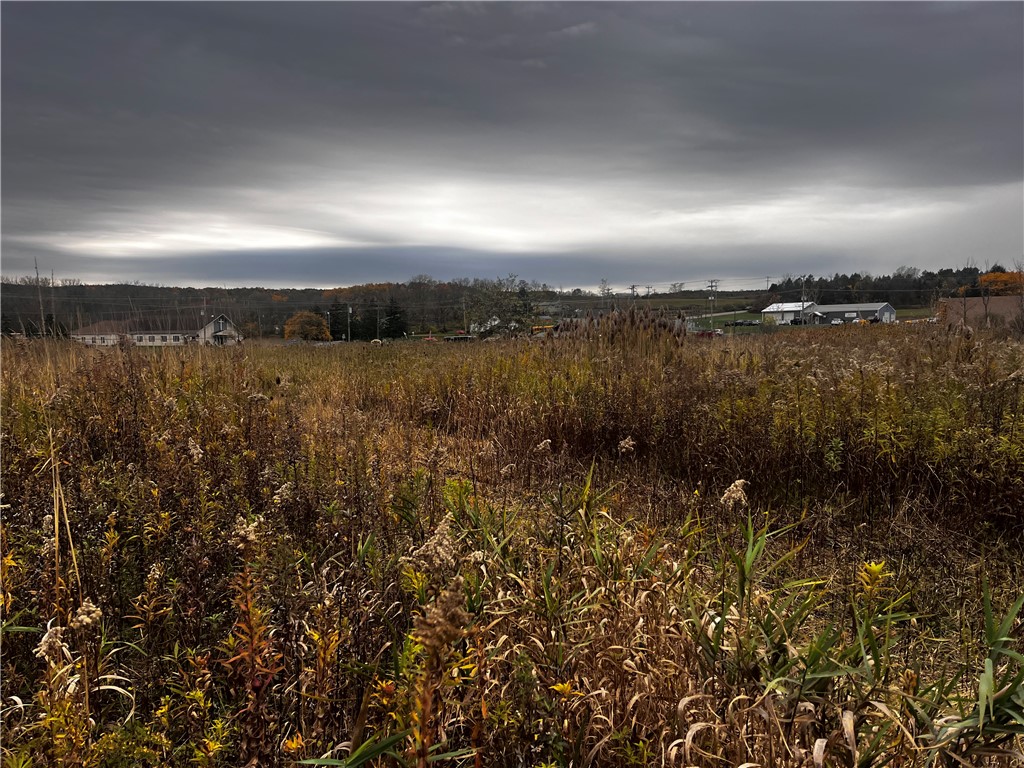 Main Street Honeoye, NY 14471 - Photo 5 of 5