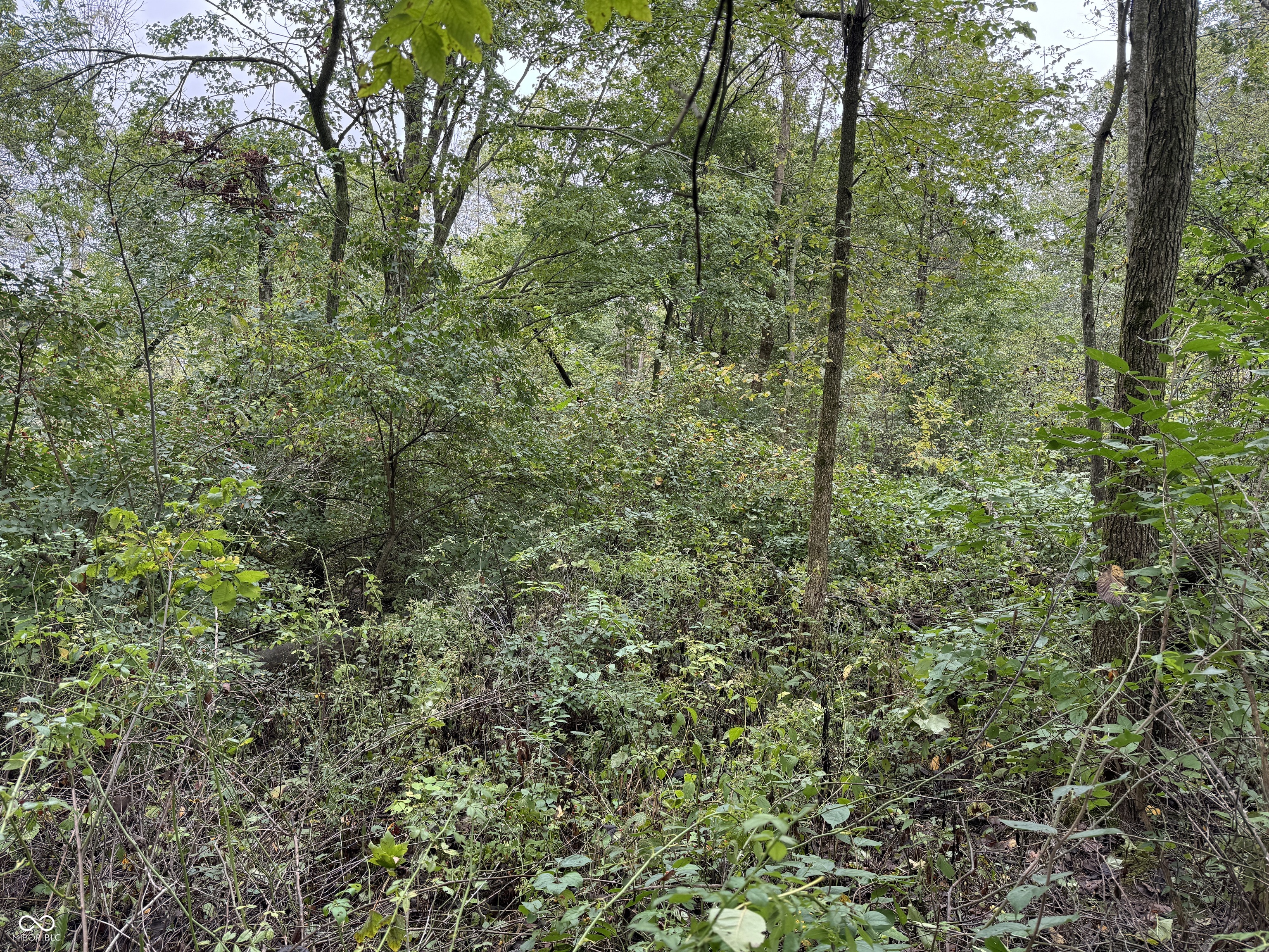 0 North Henry County Line Road Hagerstown, IN 47346 - Photo 23 of 40 Gallery Image 23