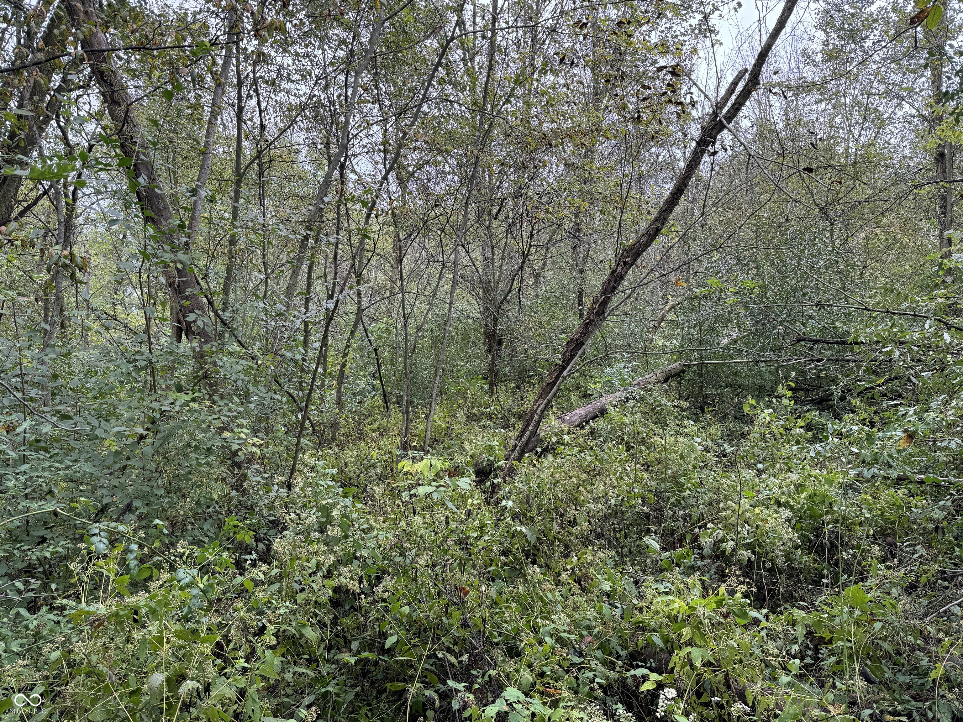 0 North Henry County Line Road Hagerstown, IN 47346 - Photo 26 of 40 Gallery Image 26