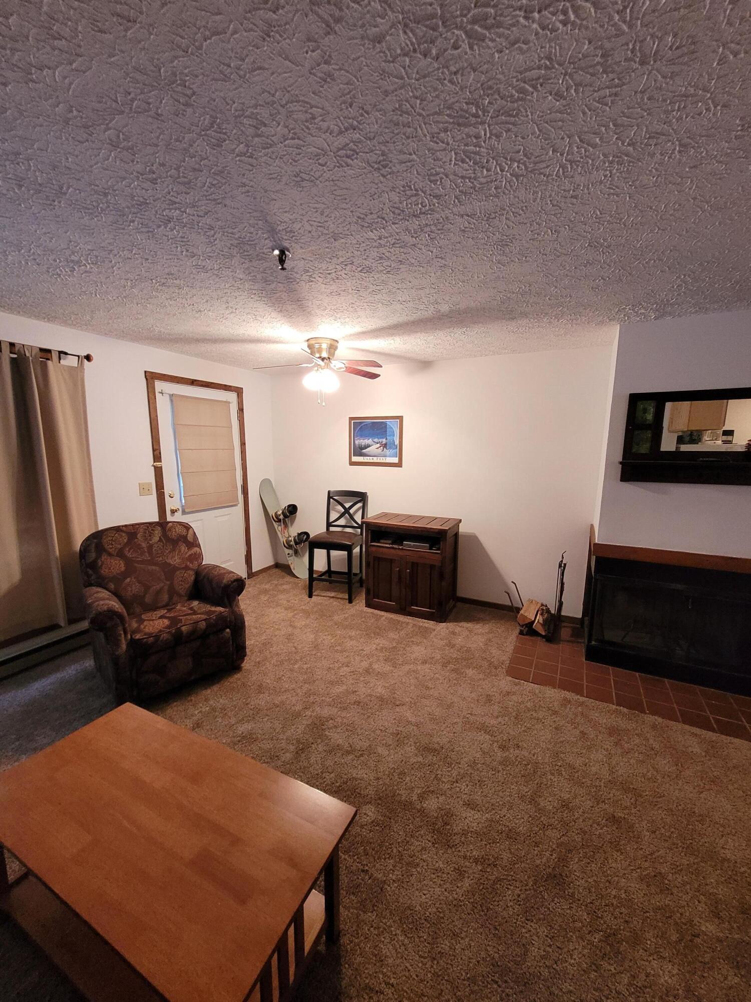 42 Ridgewood Street, Unit 37 Snowshoe, WV 26209 - Photo 16 of 23 Gallery Image 16