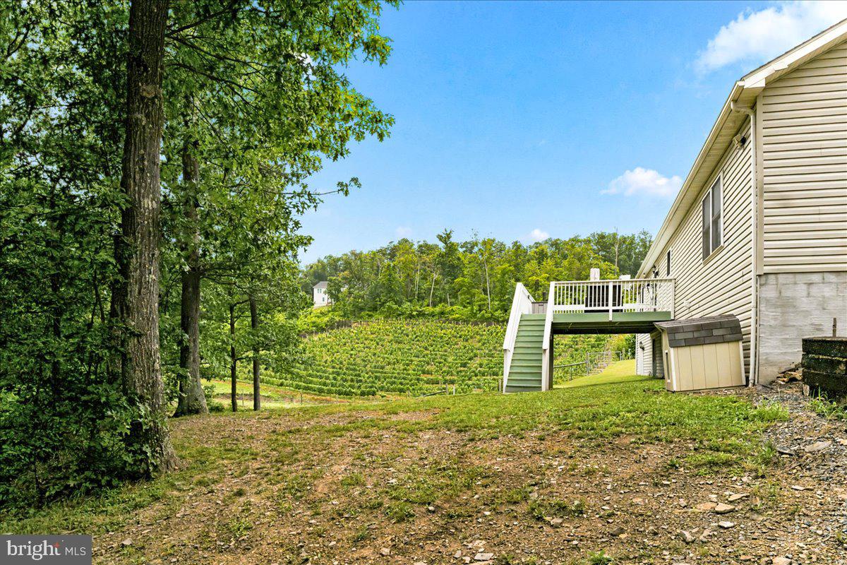 1309 Redland Road Cross Junction, VA 22625 - Photo 60 of 84
