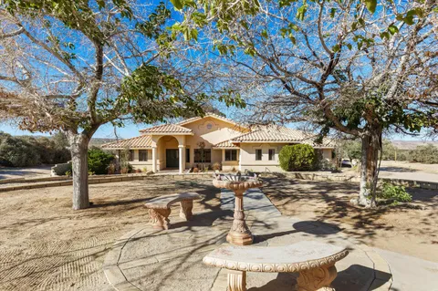 a view of a yard with a tree