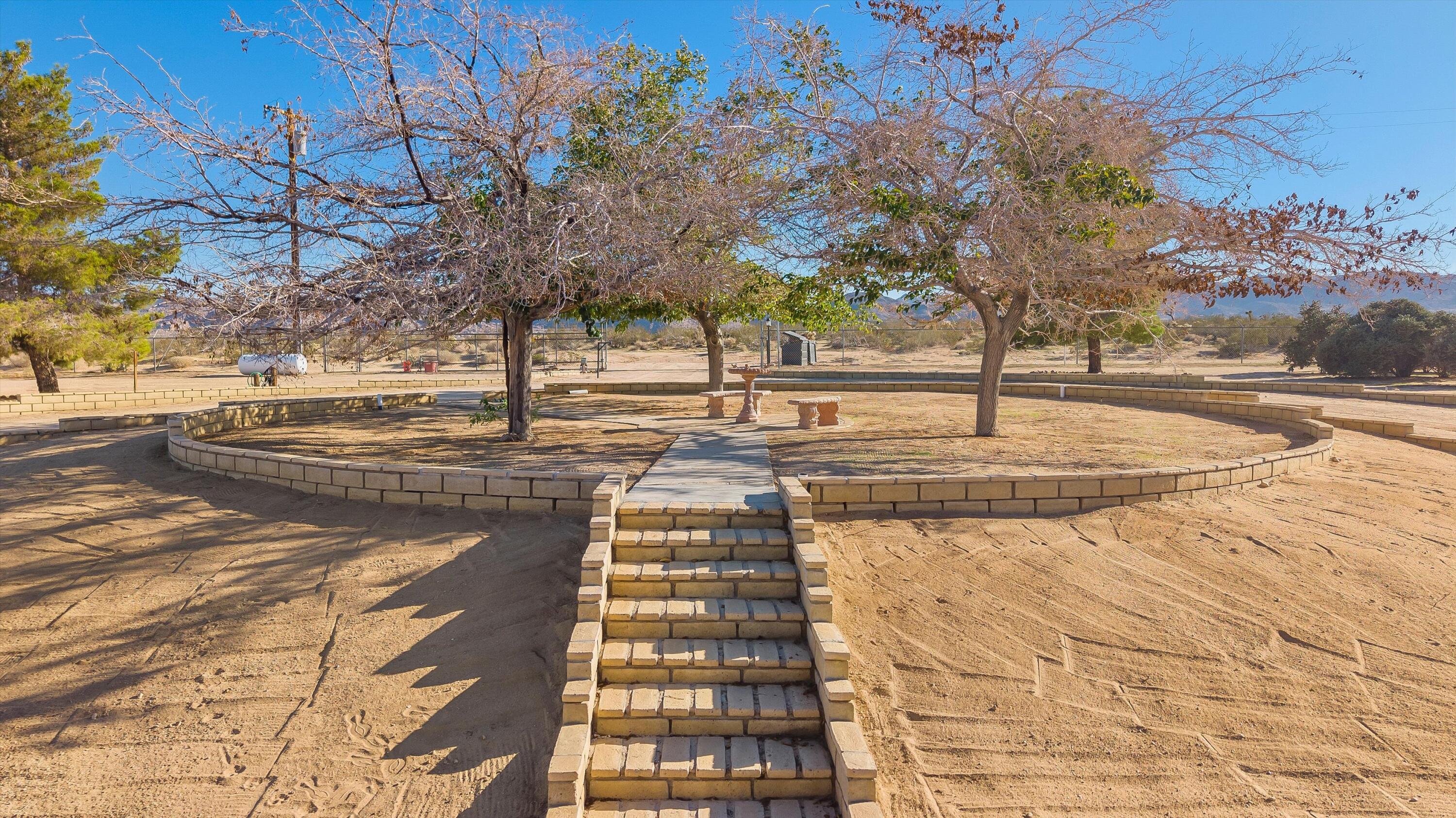 62850 Dennis Avenue Joshua Tree, CA 92252 - Photo 31 of 39 a view of a yard with a tree