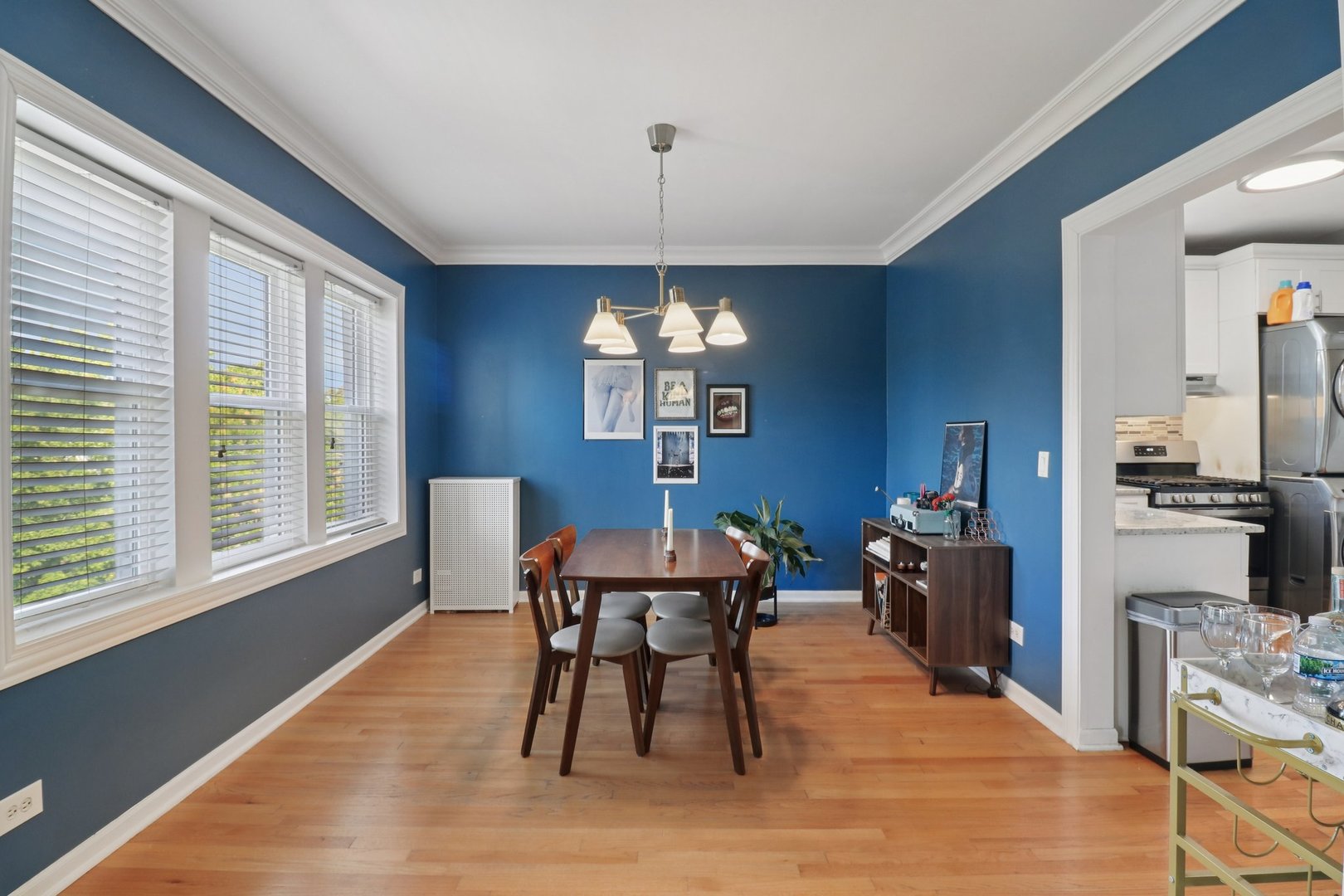 3558 West Belle Plaine Avenue, Unit 3 Chicago, IL 60618 - Photo 9 of 22