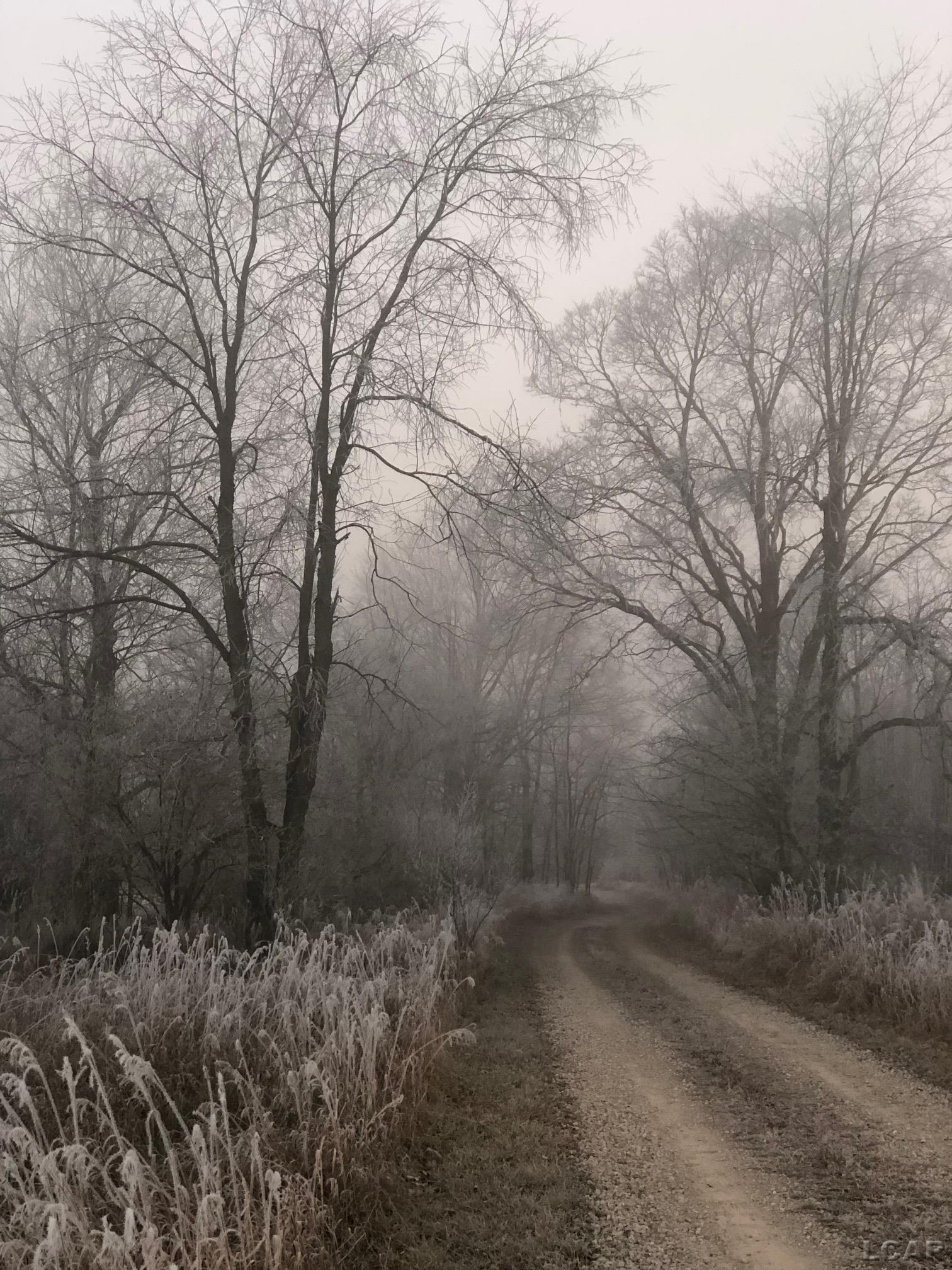 12119 Hogan Road Clinton, MI 49236 - Photo 77 of 80