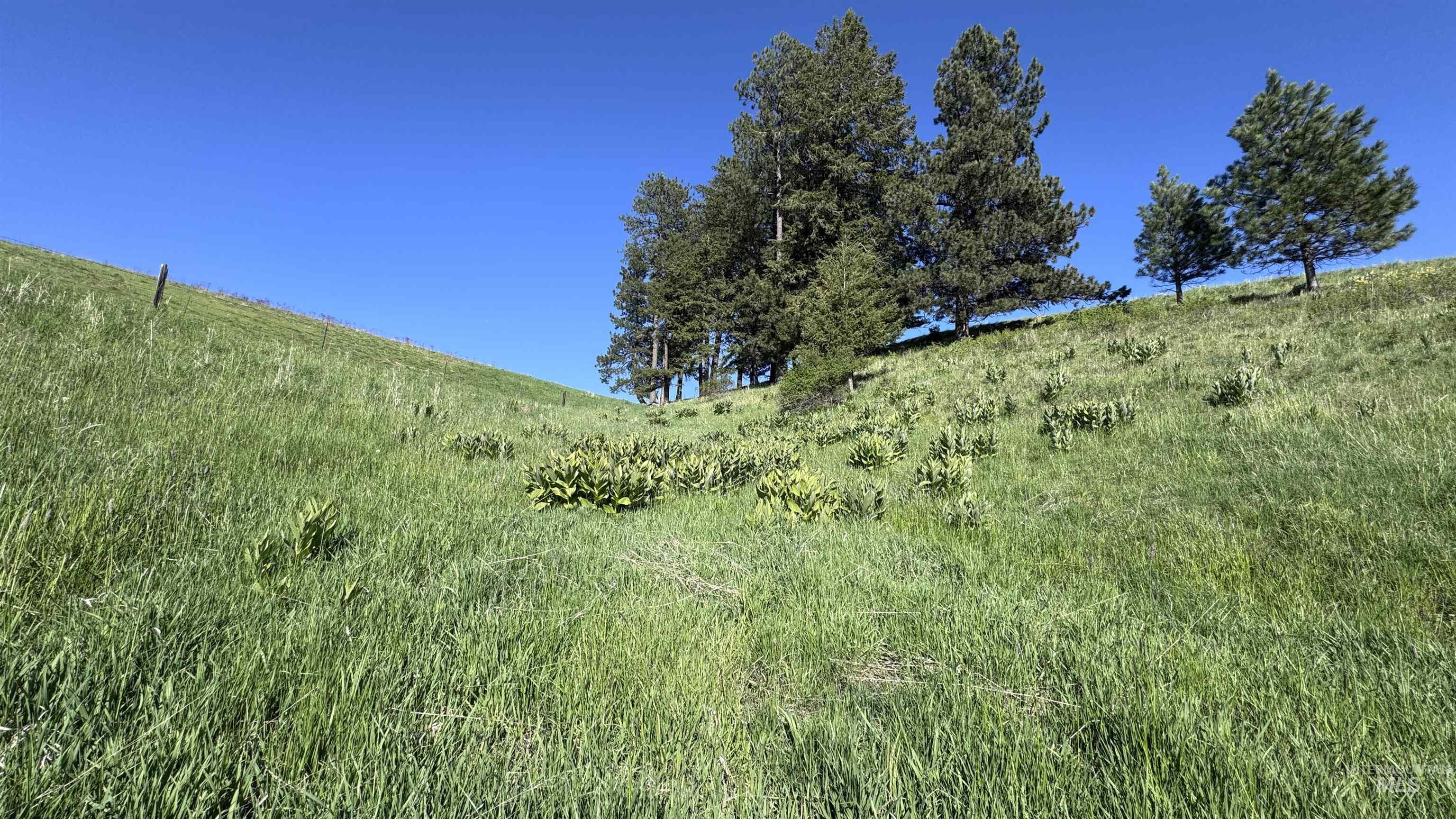 Tbd Harrisburg Road Kamiah, ID 83536 - Photo 41 of 50
