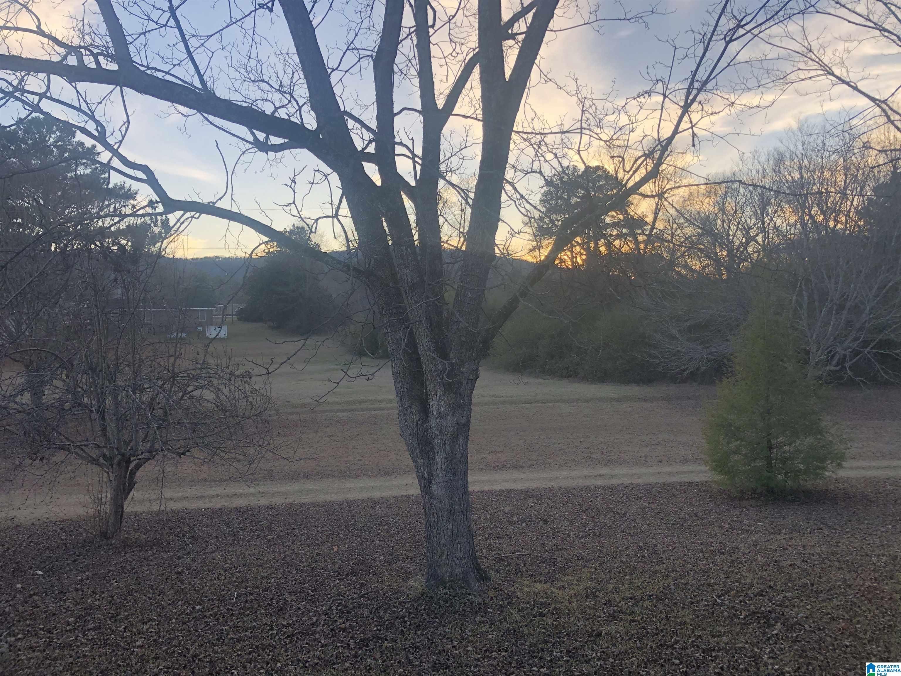 434 Flag Pole Mountain Road Childersburg, AL 35151 - Photo 51 of 71