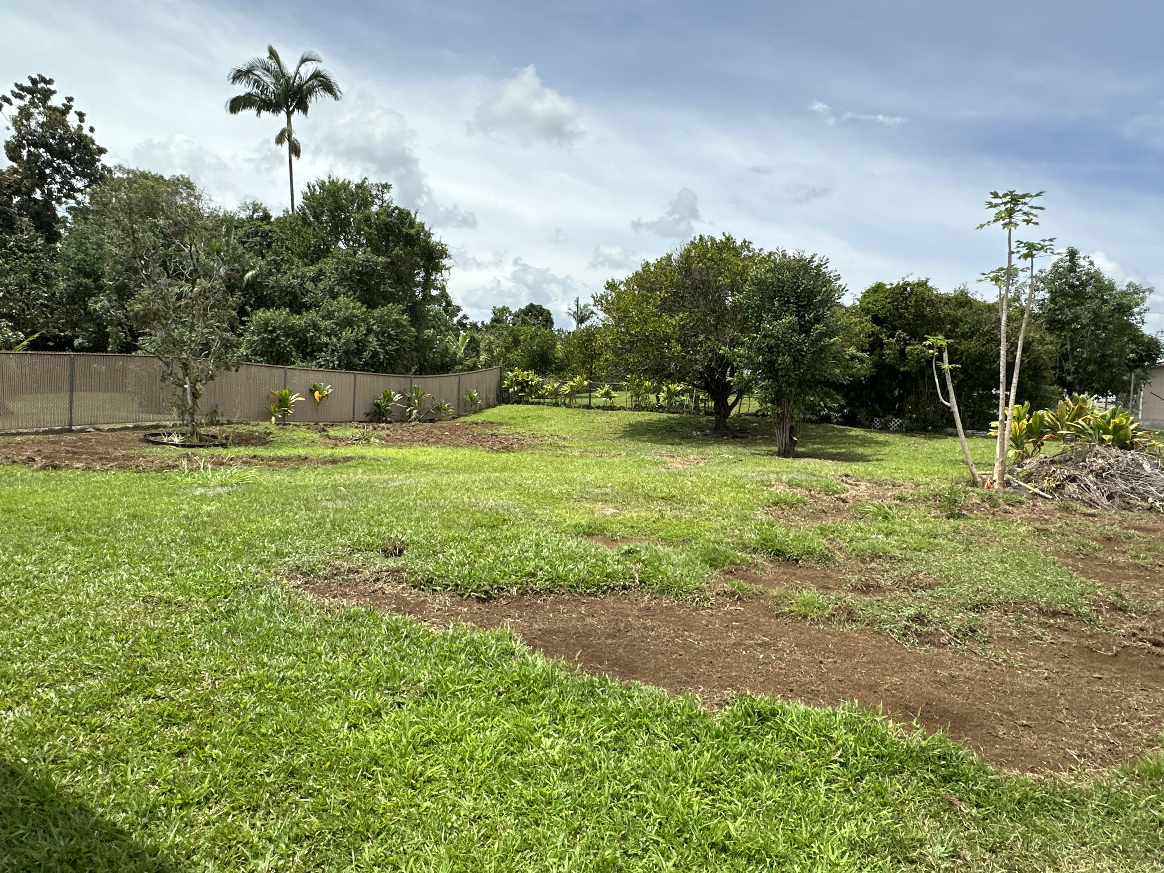 164 Likeke Street Hilo, HI 96720 - Photo 21 of 29 a view of a backyard