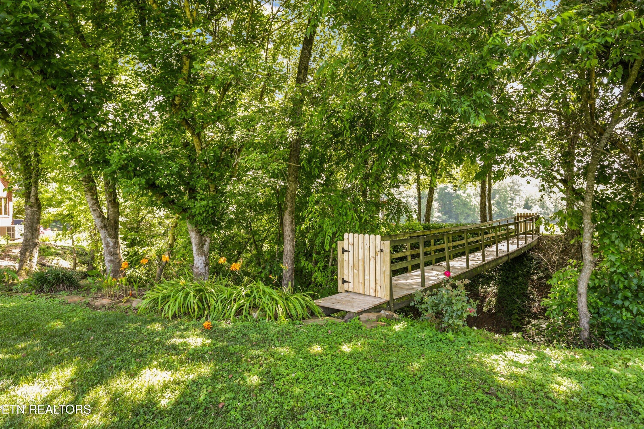 796 Holston Shores Drive Rutledge, TN 37861 - Photo 6 of 54