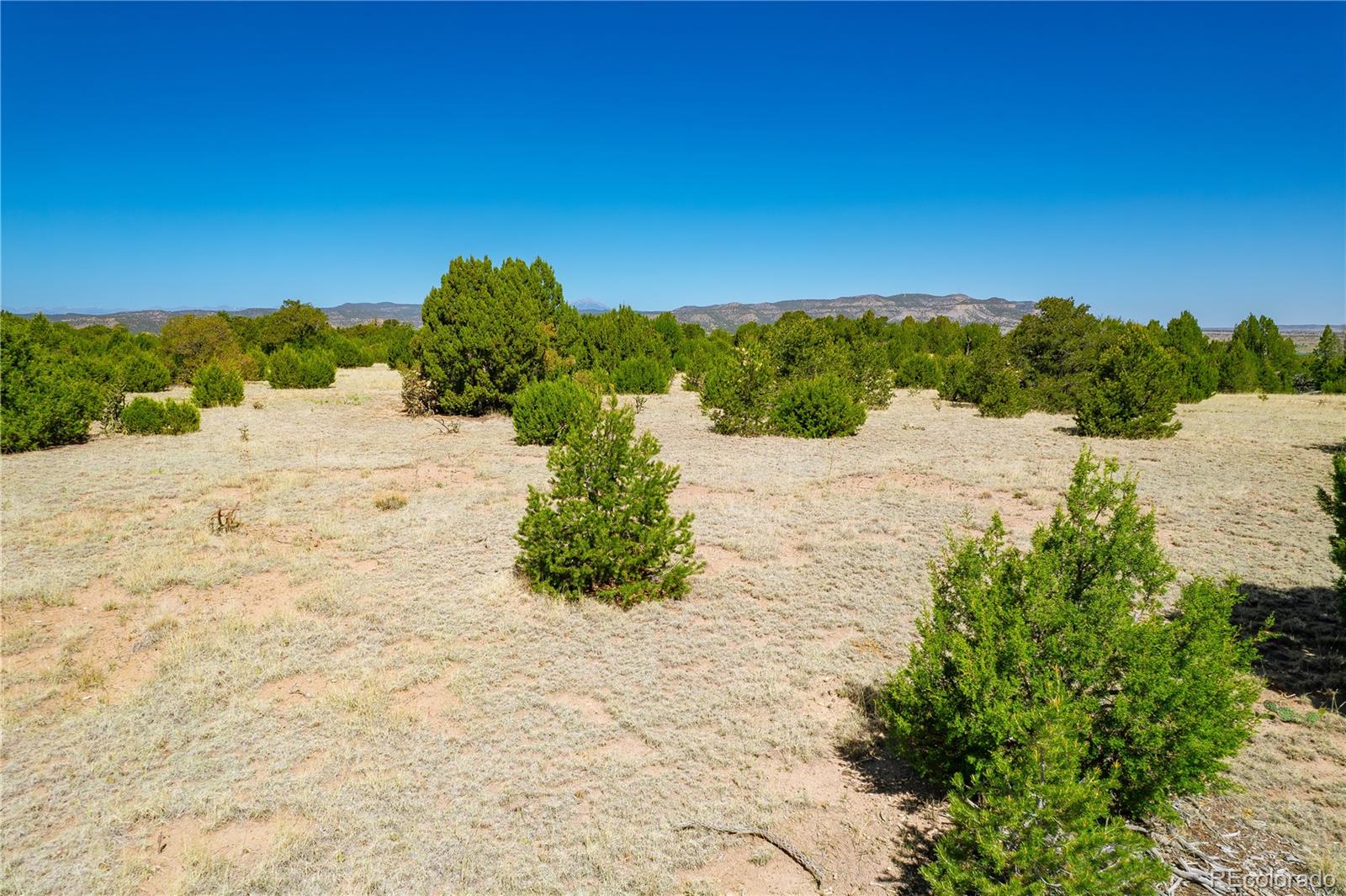37300 Kunzite Road Trinidad, CO 81082 - Photo 32 of 35